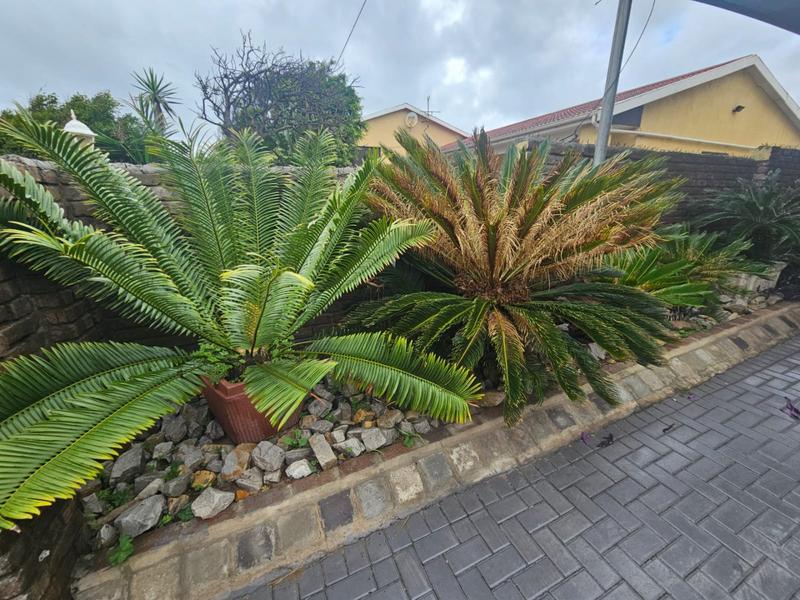 To Let 2 Bedroom Property for Rent in Bluewater Bay Eastern Cape